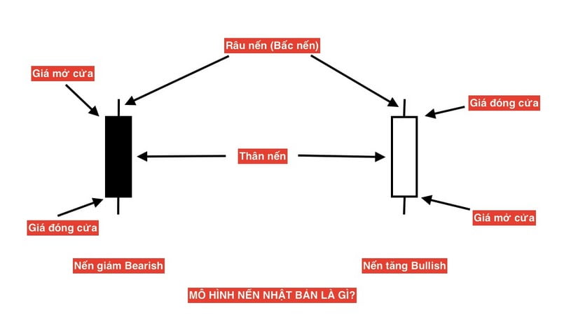 Phân tích chi tiết mô hình