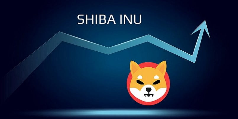 Shiba