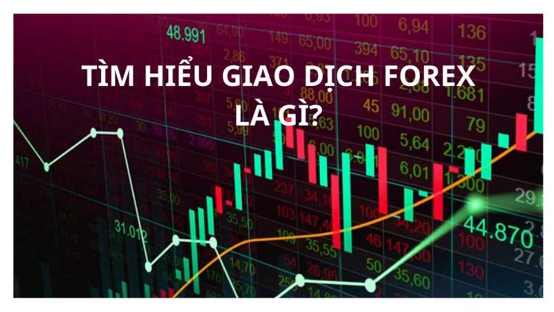 Tìm hiểu về thị trường Forex