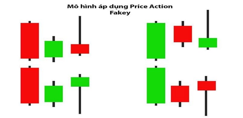 Đặc điểm của mô hình Fakey