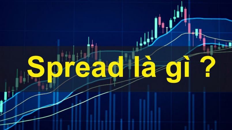 Tầm quan trọng của Spread trong Forex