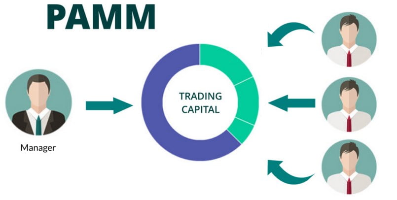 Tài khoản PAMM là gì trong Forex?