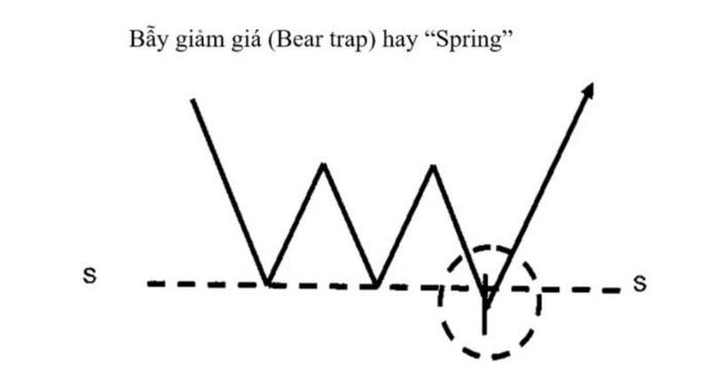 Tìm hiểu về Bear Trap