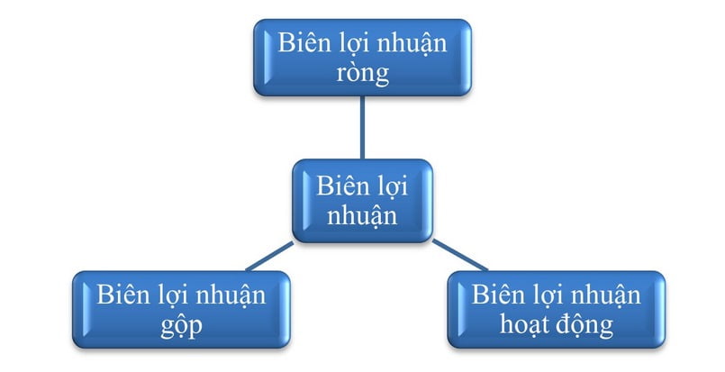 Cơ cấu lợi nhuận biên