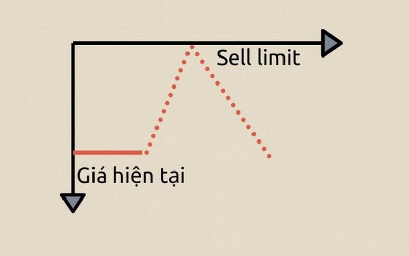 Giá thị trường đạt tới mức kỳ vọng