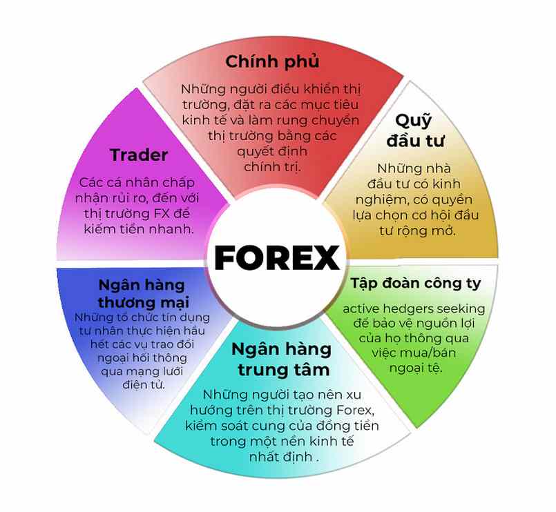 Những thành phần tham gia Forex