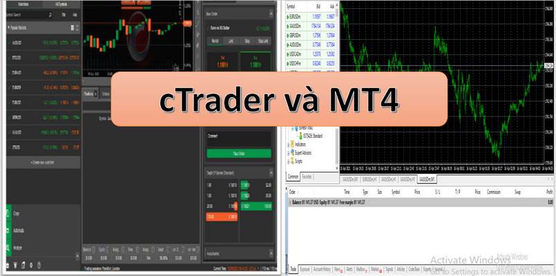 Nên chọn MT4 hay cTrader?