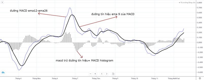 Các thành phần thuộc chỉ báo