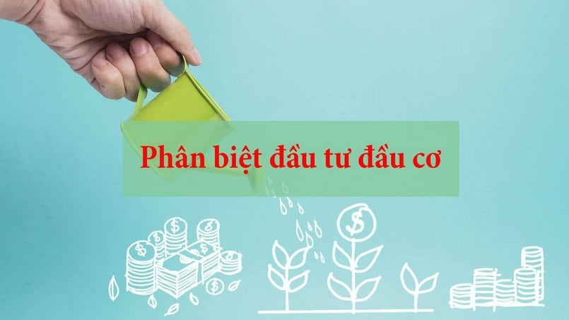 Tìm hiểu về đầu cơ