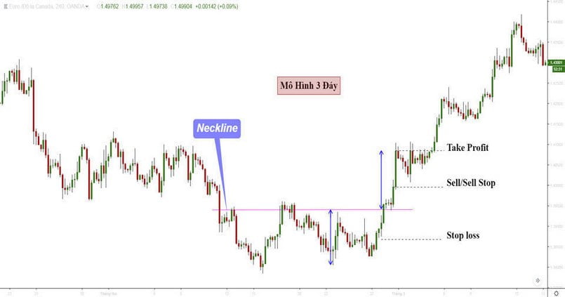 Nhận dạng Triple Bottom