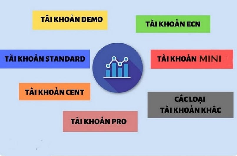 Các loại tài khoản giao dịch trên thị trường