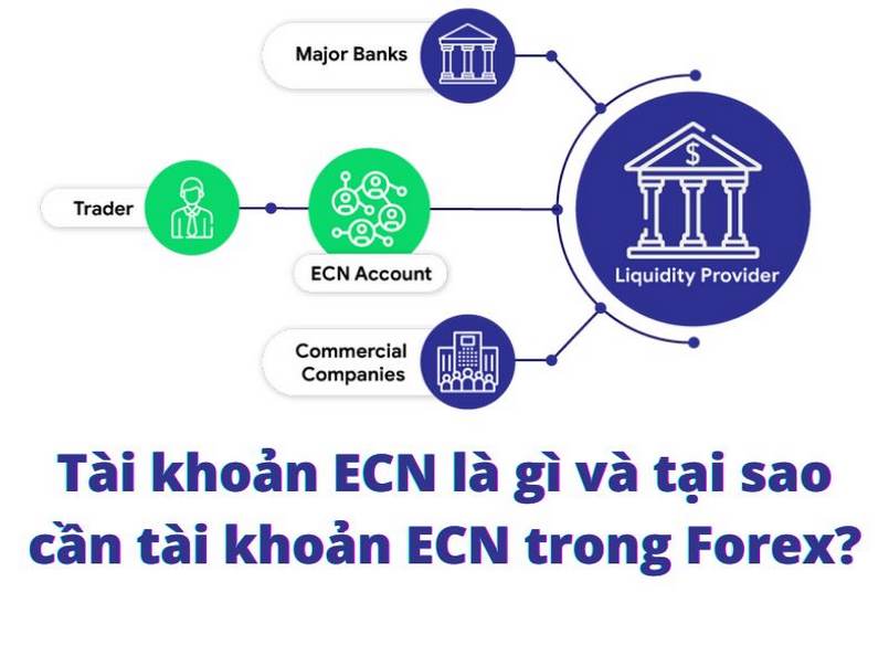 Mạng lưới Electronic Communication Network