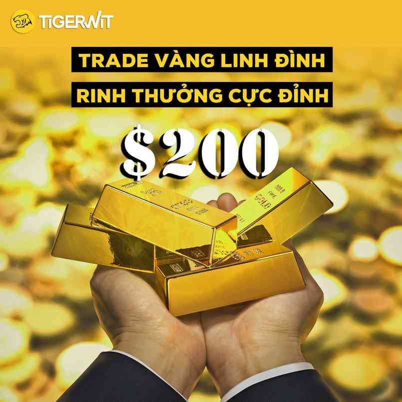 Chương trình khuyến mãi của TigerWit