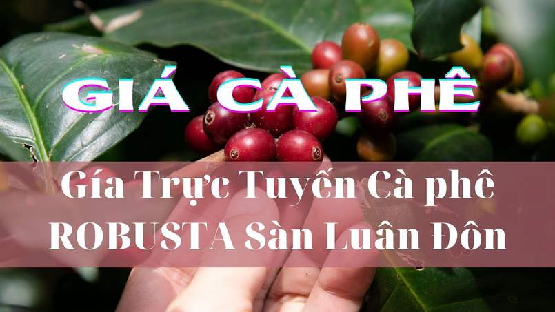 Thông tin giá cà phê trực tuyến