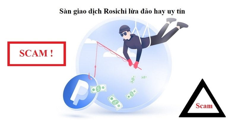 Tìm hiểu về sàn Rosichi