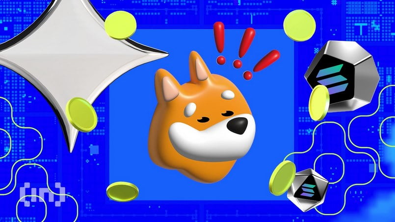 bonk coin